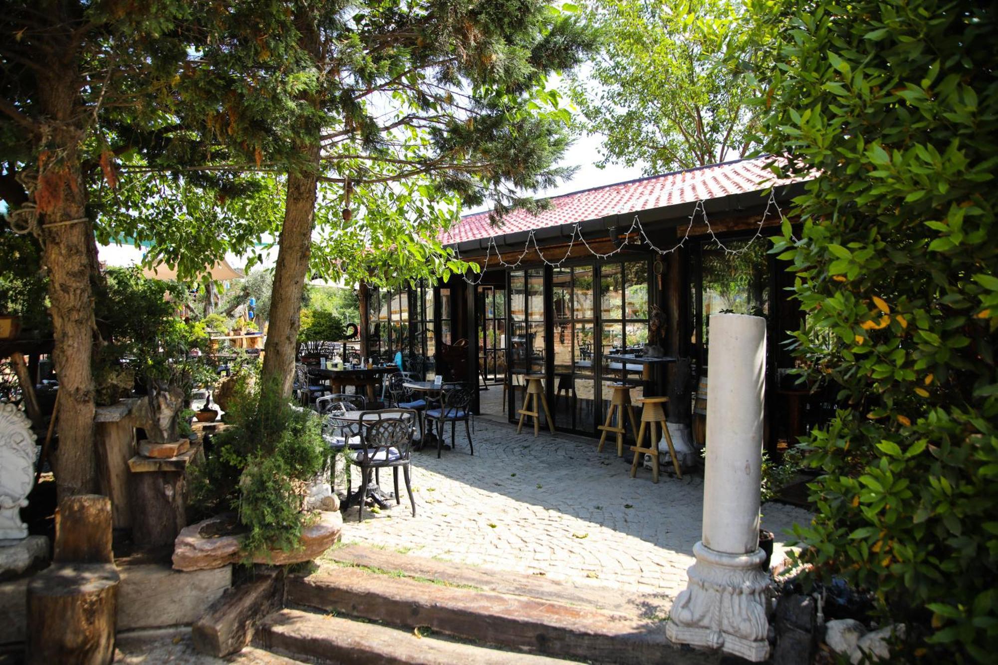 Mavi At Hotel Blue Horse Gumusdere Extérieur photo