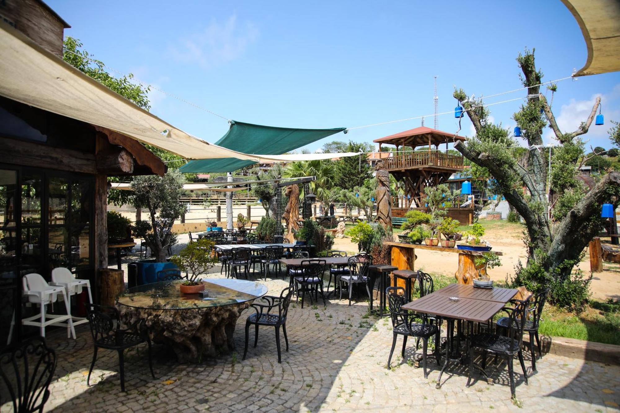 Mavi At Hotel Blue Horse Gumusdere Extérieur photo